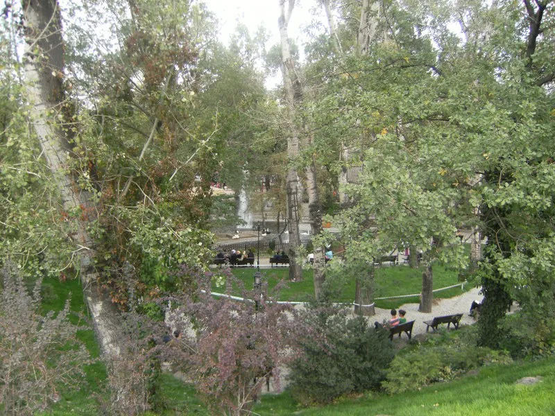 Kuğulu Parkı — Ankara'nın merkezindeki kuğular