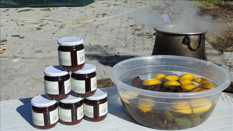 在艾瓦勒克，松果在柴火中煮 8 个小时后就会变成糖浆，而妇女们的劳动成果也是如此