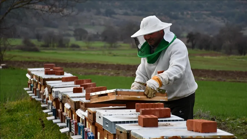 Adopteerde 50 bijenkorven met het project 