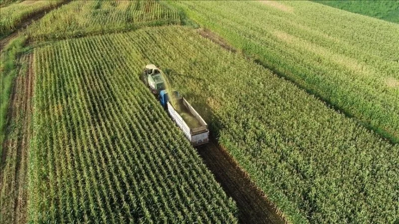 Er zijn regels vastgesteld met betrekking tot de bescherming en het gebruik van landbouwgrond